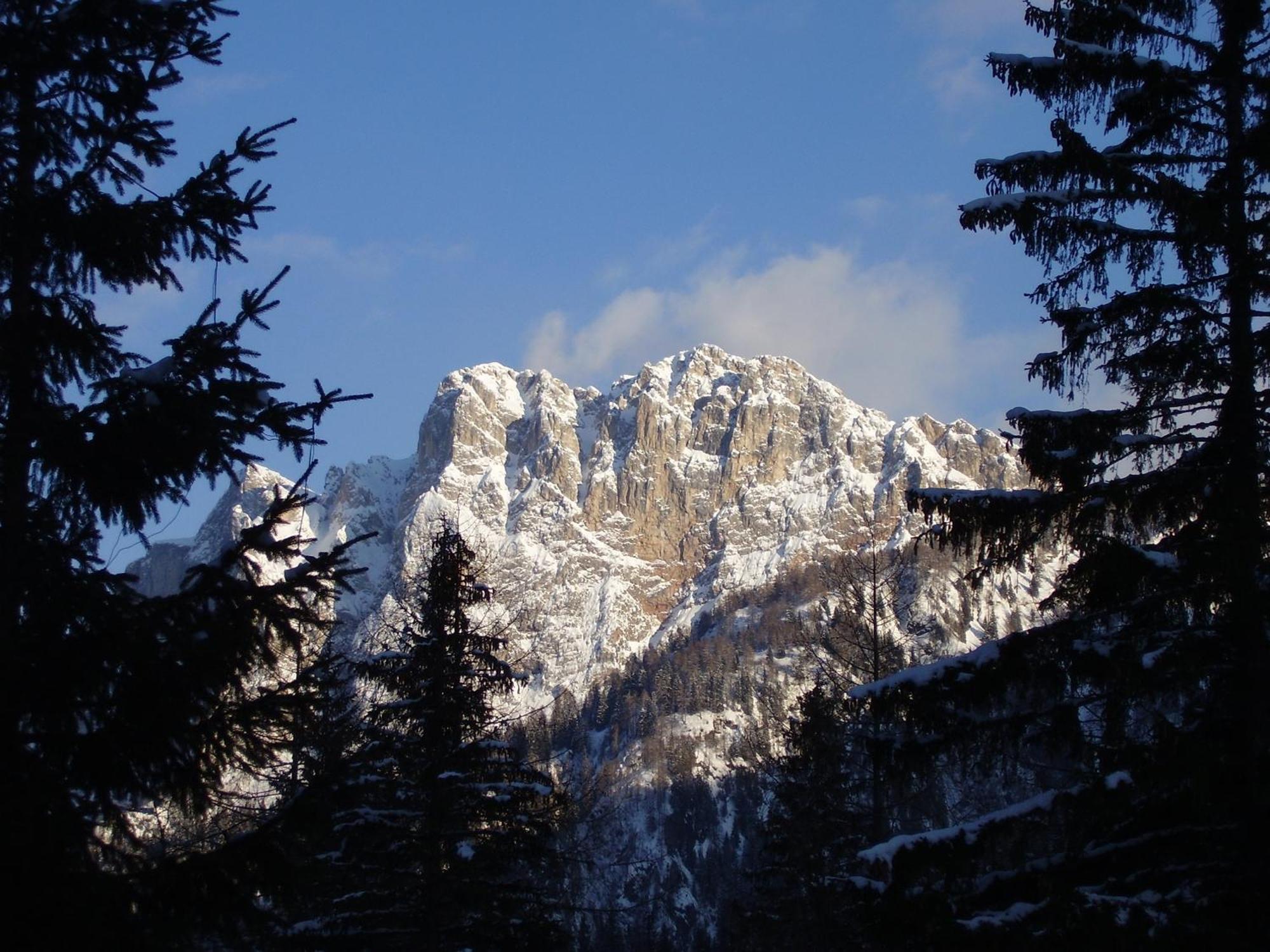 Residence Regina Delle Dolomiti Рокка-П'єторе Екстер'єр фото